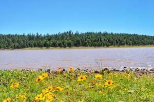 Upper Lake Mary