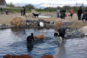 Dayland Dog Park