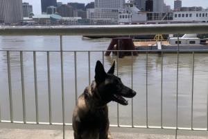 Algiers Point - Canal Street Ferry