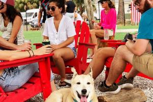 BrewHound Dog Park + Bar