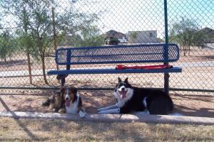 Star Valley Park