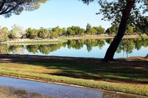 Apollo Dog Park