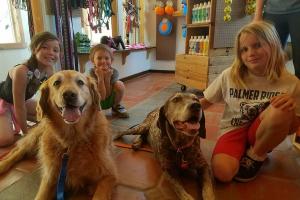 Ouray Dog Company