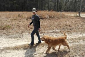 Waldorf Walkers & Pet Sitting, LLC