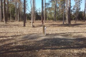 Burroughs Dog Park