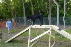 Pole Green Dog Park