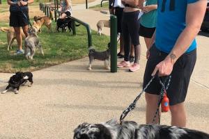 Mud Island Dog Park