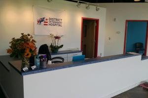 District Veterinary Hospital