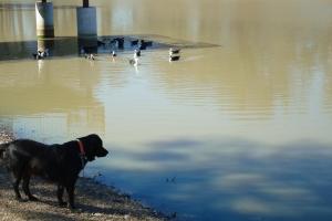 Mike Lewis Park