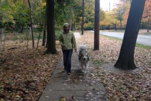 Executive Pet Services