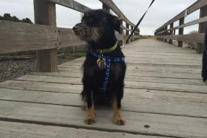 Hayward Regional Shoreline