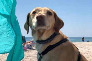 Onslow County Beach Access #2