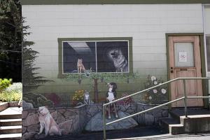 Thornhill Pet Hospital