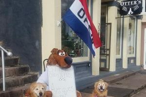 Otter’s Odds and Ends