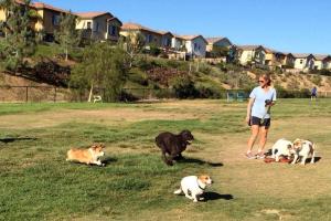 Torrey Hills Dog Park