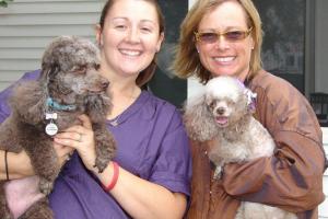 Unleashed Mobile Grooming