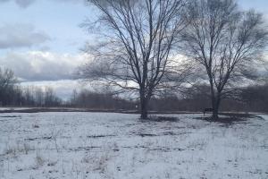 Raccoon River Dog Park