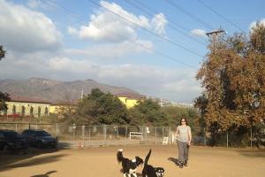 Griffith Park Dog Park
