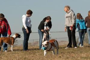 Murfin Animal Care Campus Dog Park