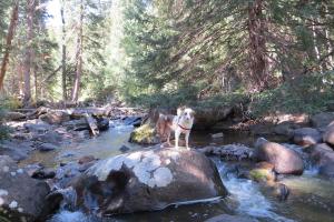 Ceran Saint Vrain Trail