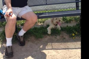 Lewiston Dog Park 