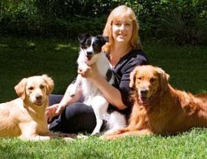 Kaizen Pet Training & Behavior