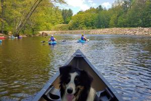 Saco Canoe Rentals Company