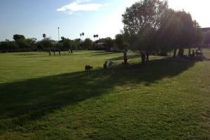Chaparral Park