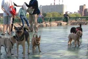 Fort Greene Park