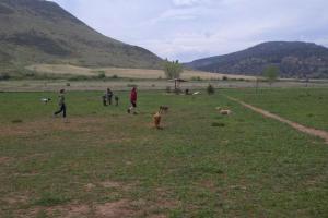 Lyons Dog Park