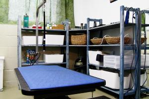 Small & Tall Grooming LLC