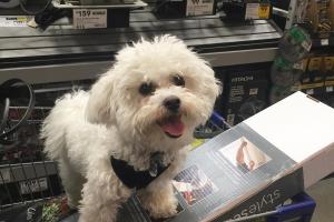 Lowe's Home Improvement