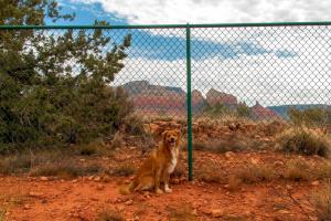 Sedona Dog Park