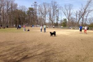 Port Potomac Dog Park