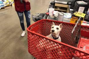 Lowe's Home Improvement