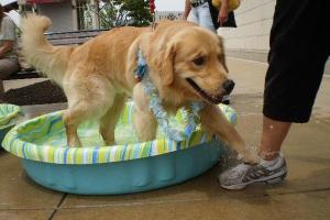 Promenade Shops at Evergreen Walk
