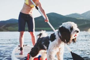 Lake Powell Paddleboards and Kayaks