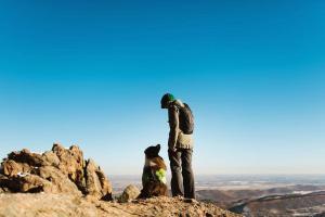 Summit Dog Training