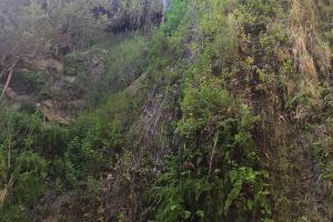 Escondido Falls Trail
