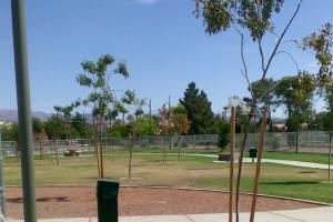 Craig Ranch Regional Dog Park