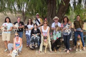 Tabano Hollow Dog Park