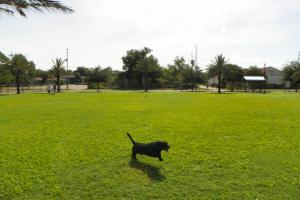 Confederate Point Dog Park