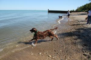 Moraine Dog Beach and Park