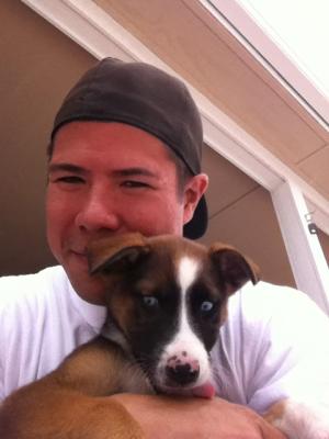 Dog Walker Woof Woof