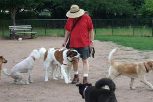 Silver Lake Dog Run