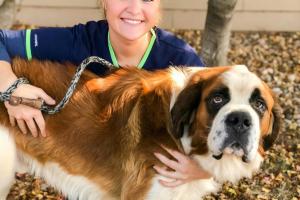 Sioux Falls Area Humane Society