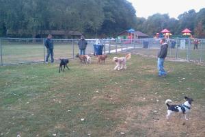 Kiwanis Dog Park