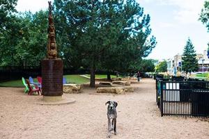 Loring Park Off Leash Dog Park 