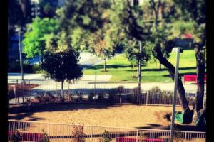 Grand Park Dog Park