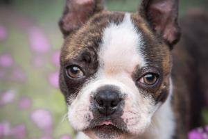 Mark Hazelton Photography